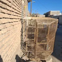 اتاق پیکان وانت