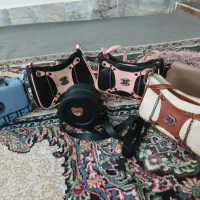 کیف هاسالم بفروش میرسددانه ای100