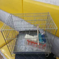 قفس سهره سایز 2