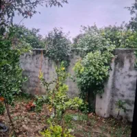 خونه باغ در شمال