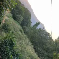 فروش فوری باغ|فروش زمین و ملک کلنگی|پاوه, |دیوار