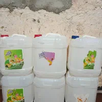 گالن ۱۰لیتری