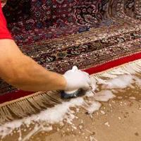 قالیشویی جنت آباد  شهران شهرزیبا بلوار فردوس|خدمات نظافت|تهران, شهران جنوبی|دیوار