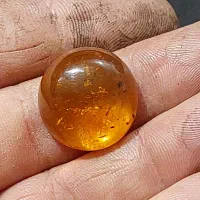 کهربا طبیعی بالتیک