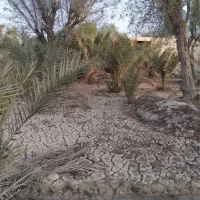 فروش خانه باغ زیرانگ|فروش خانه و ویلا|قشم, |دیوار