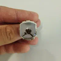انگشتر شجر رولکسی