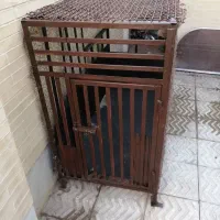 قفس|لوازم جانبی حیوانات|حمیدیا, |دیوار