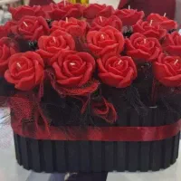 ۲۰ شاخه گل شمعی مناسب هدیه و ولنتاین