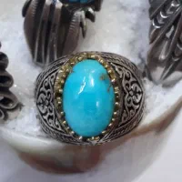 فیروزه عجمی  اصل