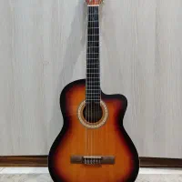 گیتار حرفه ای