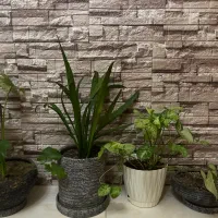 فروش یک واحد اپارتمان ۲۲۰ متری نوساز توافقی