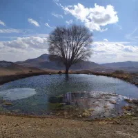 سرایدار یا باغبان