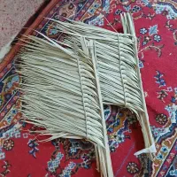 جارودستی