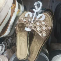 انواع دمپایی پولیشی و فانتزی ودمپایی سرویس|کیف، کفش، کمربند|اراک, |دیوار