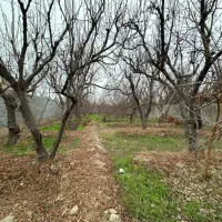 715متر-باغ-توضیحات-کامل-خوانده-شود