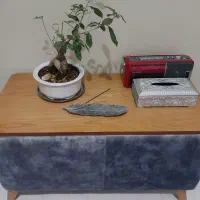 میز، پاف|مبلمان خانگی و میز عسلی|بهارستان, |دیوار