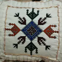 یک عدد بالش پشتی پیدا شده