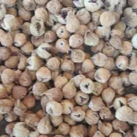 فروش انجیر