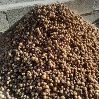 انجیر در هم|حراج|کازرون, |دیوار