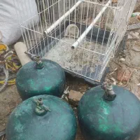 قفس پیکنیک  تهویه