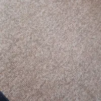 ۲عدد پالاز موکت دوازده متری|موکت|بروجرد, |دیوار