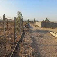 باغچه ۵۱۰ متری واقع در لنگرود