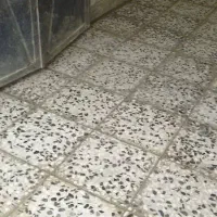 اجاره مغازه