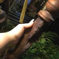 تنه گردو اصلی کاملآ نو دوسایز بزرگ کوچیک دوقیمت