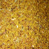 بذر علف|گل و گیاه طبیعی|ایرانشهر, |دیوار