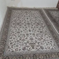 فرش ۶متری و ۹متری|فرش|علی‌آباد کتول, |دیوار