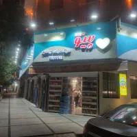 جذب نیروی کار خانم