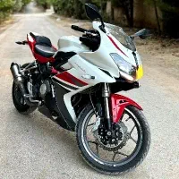 بنلی ریس