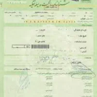 کارت ماشین و برگ سبز گمشده است