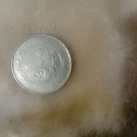 سکه ۵۰۰ لیره لبنان