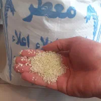 برنج و خرده برنج کامفیروزی به شرط|خوردنی و آشامیدنی|نی‌ریز, |دیوار