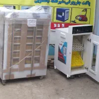 دستگاه جوجه‌کشی 504 عددی آکبند