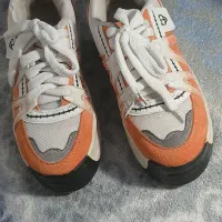 کفش|کیف، کفش، کمربند|رباط‌کریم, نصیرشهر|دیوار