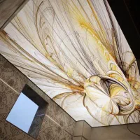 سقف باریسول،کشسان