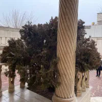 ۱۹۰ متر مجلل دیپلمات نشین ( ایران زمین )۲ پارکینگ|اجارهٔ خانه و ویلا|تهران, شهرک غرب|دیوار