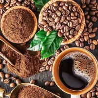 قهوه عمده و خرده