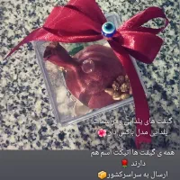 سینی حنا، گیفت حنا ویلدا ونبات ،گل حنا،دسته گل حنا|صنایع دستی و سایر لوازم تزئینی|چناران, |دیوار