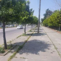 اجاره-مغازه-40متری-مناسب-برای-کافه-املاک