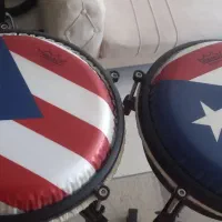 تراول کونگا کوبکا وداربوکا جوهرالامین در حد نو|درام و پرکاشن|شیراز, شهرک والفجر|دیوار