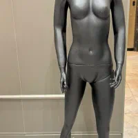 فروش ۲ عدد مانکن فیگور زنانه