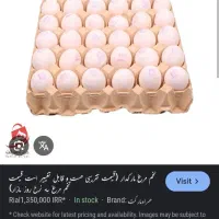 تخم مرغ  مارک دار فروشی.۱۰کارتن