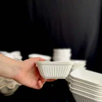 استخدام نیروی خانم و آقا