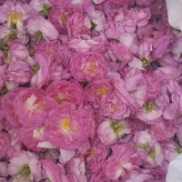 کار در منزل و کارگاه