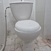 فرنگی سالم و روشویی تمیز تک پانچ