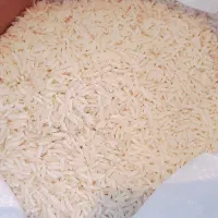 برنج سالم هاشمی آستانه ی اشرفیه