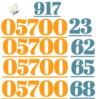 917.062.00.89|سیم‌کارت|شیراز, معالی‌آباد|دیوار